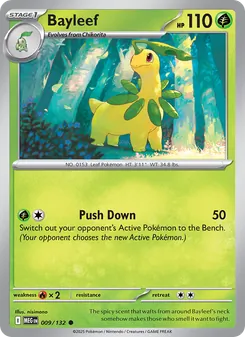 2 Bayleef