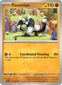 1 Passimian