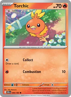 2 Torchic